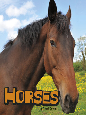 cover image of Horses